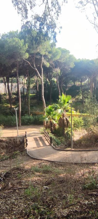 Beach Forest Paradise Marbella Buitenkant foto