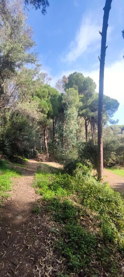Beach Forest Paradise Marbella Buitenkant foto