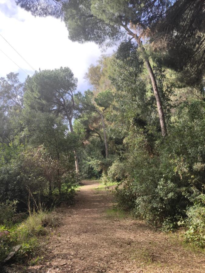 Beach Forest Paradise Marbella Buitenkant foto